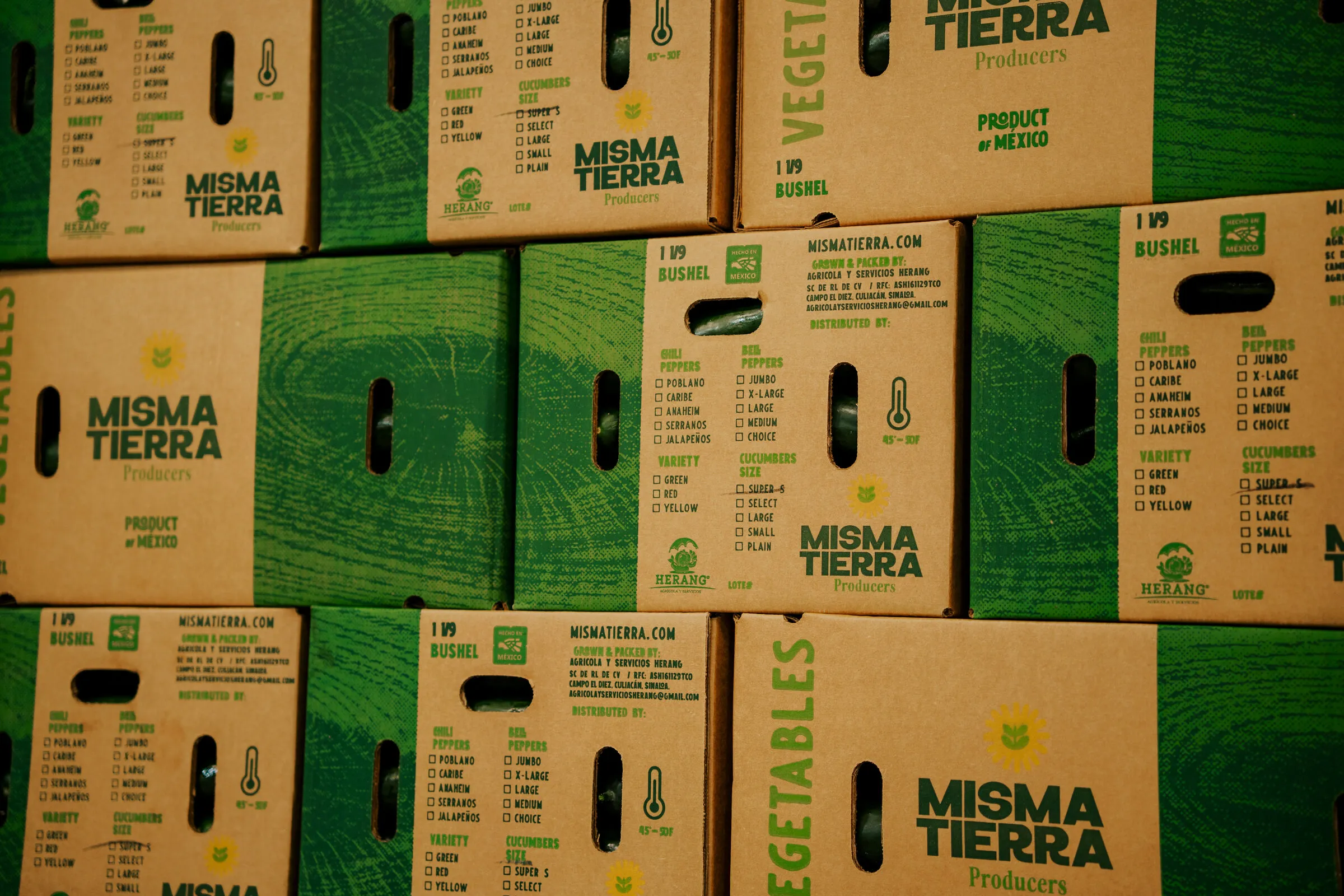 Cajas Misma Tierra apiladas