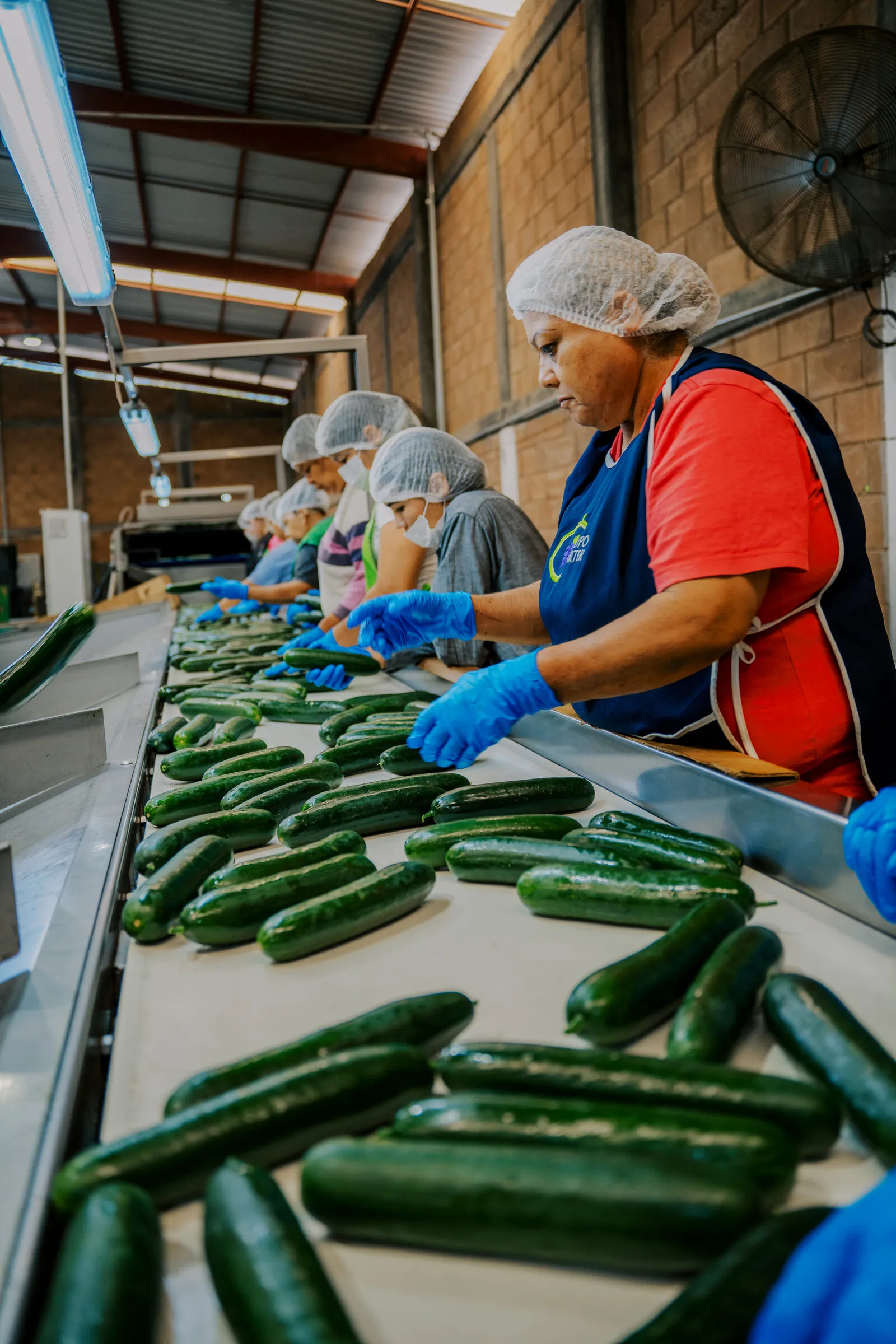 Selección de producto en la línea de empaque
